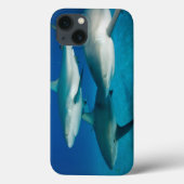 Shark Trio iPad Case (Rückseite)