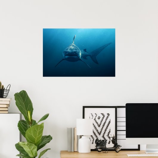 Shark under water poster (Heimbüro)