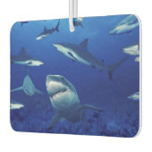 Sharks Air Freshener Autolufterfrischer (Links)