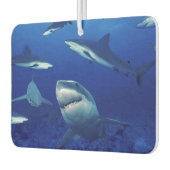 Sharks Air Freshener Autolufterfrischer (Links)