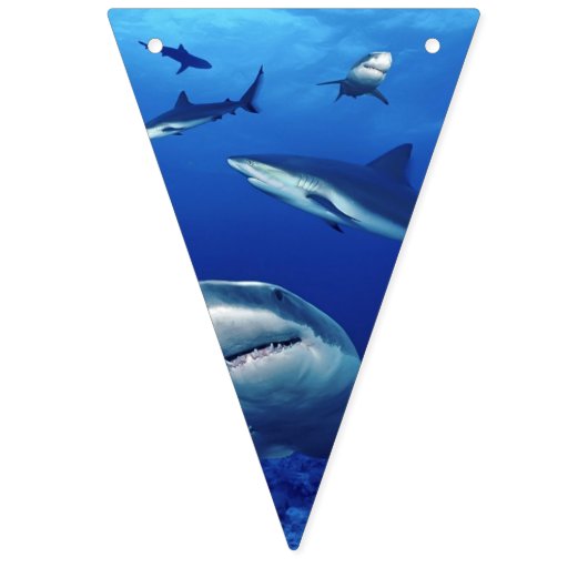 Sharks Banner Flags (Dritte Fahne)