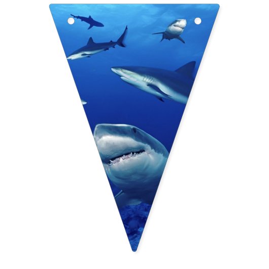 Sharks Banner Flags (Zweite Fahne)