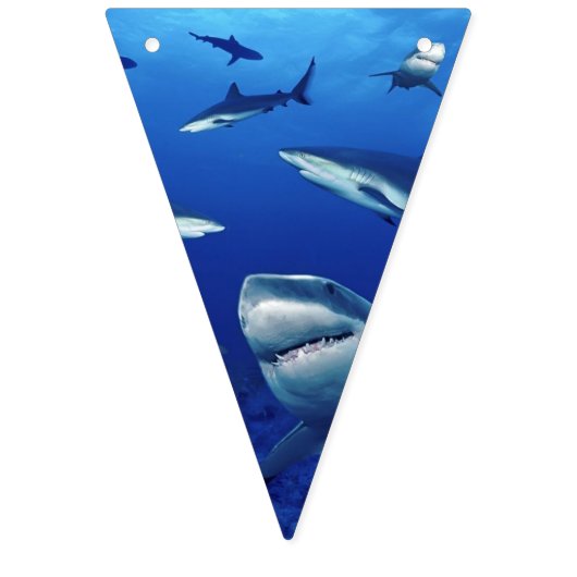 Sharks Banner Flags (Erste Fahne)