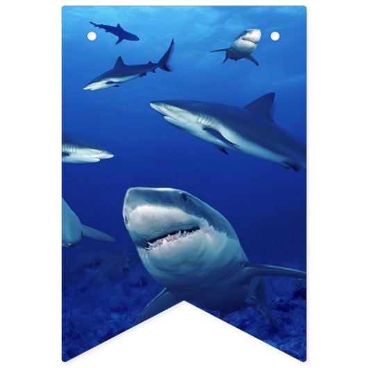 Sharks Banner Flags (Zweite Fahne)