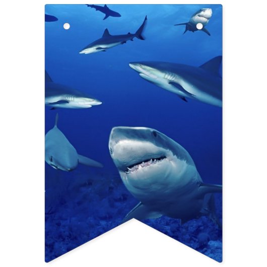 Sharks Banner Flags (Erste Fahne)