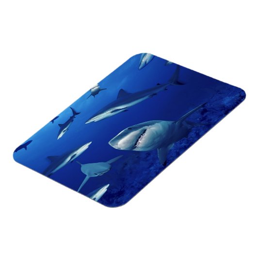 Sharks Magnet (Linke Seite)