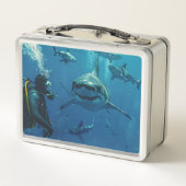 Sharks Metal Lunch Box (Rückseite)