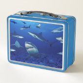 Sharks Metal Lunch Box (Rückseite)