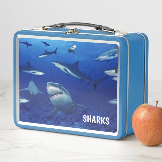 Sharks Metal Lunch Box (Beispiel)