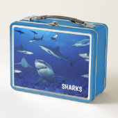 Sharks Metal Lunch Box (Vorderseite)