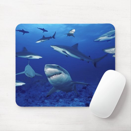 Sharks Mouse Pad Mousepad (Mit Mouse)