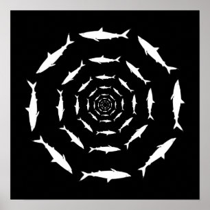 sharks swimming in circles poster