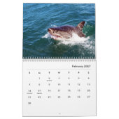Sharks Wall Calendar Kalender (Feb 2027)