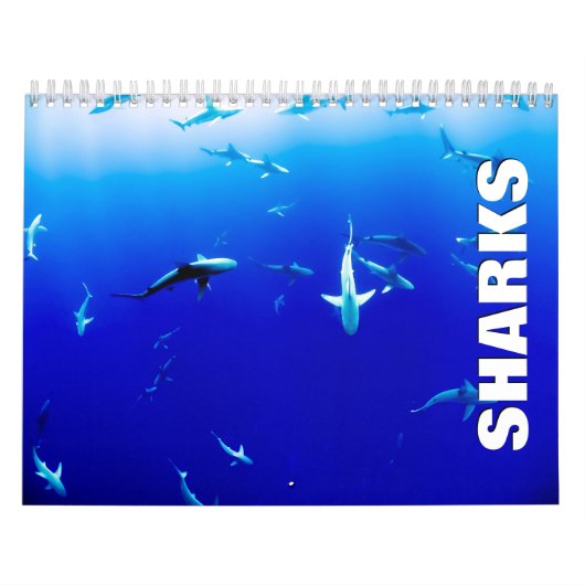 Sharks Wall Calendar Kalender (Titelbild)