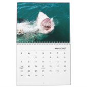 Sharks Wall Calendar Kalender (Mär 2027)