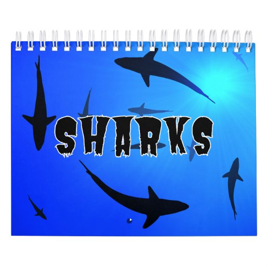 Sharksammlung Showcase Wall Kalender (Titelbild)