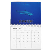 Sharksammlung Showcase Wall Kalender (Feb 2027)