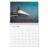 Sharksammlung Showcase Wall Kalender (Jan 2026)