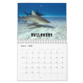 Sharksammlung Showcase Wall Kalender (Mär 2026)