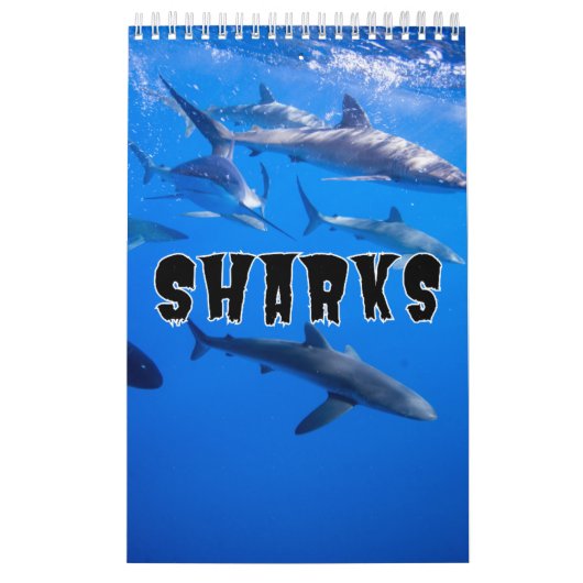 Sharksammlung Showcase Wall Kalender (Titelbild)