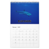 Sharksammlung Showcase Wall Kalender (Feb 2027)
