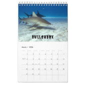 Sharksammlung Showcase Wall Kalender (Mär 2026)