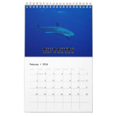 Sharksammlung Showcase Wall Kalender (Feb 2026)