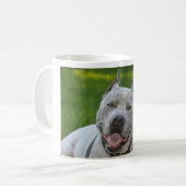sharky pitbull guter Morgen der Tasse des (Vorderseite Links)