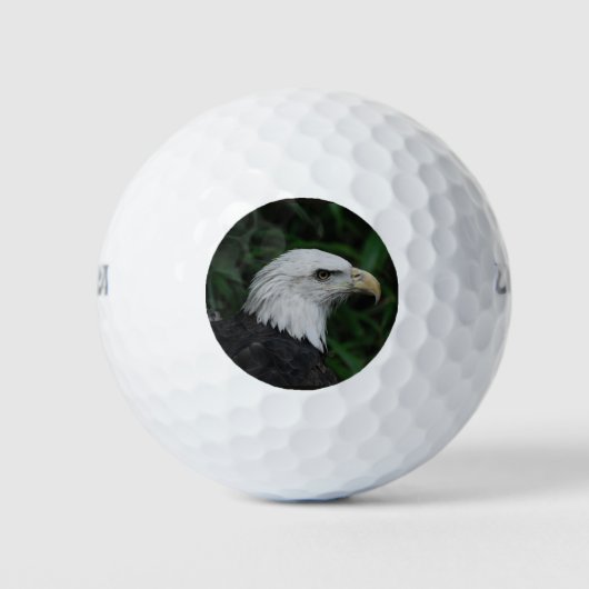 Sharp Beaked Eagle Golfball (Vorderseite)