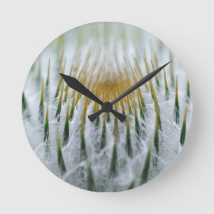Sharp-Dick-Blume Runde Wanduhr