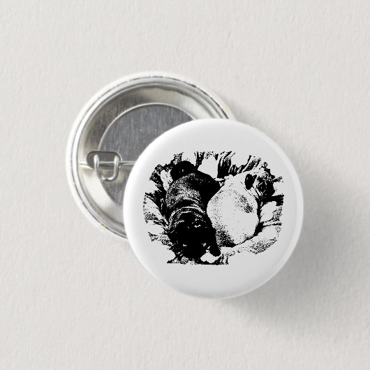 Sharp Duo Accent Button (Vorne & Hinten)