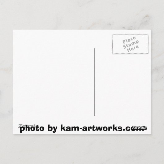 Sharp-Shinned Hawk im Flug Postkarte (Rückseite)