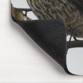 Sharp Shinned Hawk in Tree Your Initials Mousepad (Ecke)