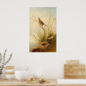 Sharp-Tail Finch, Joseph B. Kidd Fine Art Poster (Küche)