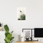 Sharp-Tailfinch von Audubon Poster (Heimbüro)