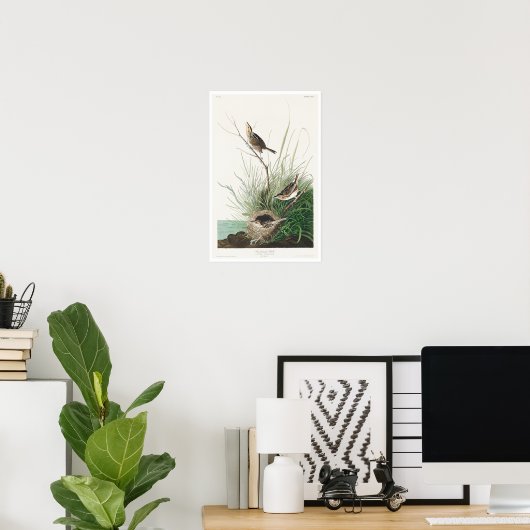 Sharp-Tailfinch von Audubon Poster (Heimbüro)