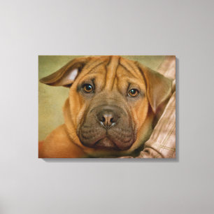 Sharpei-Beagle-Welpe Leinwanddruck