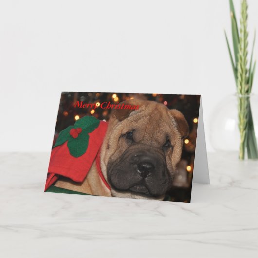Sharpei Christmas Card Feiertagskarte (Vorderseite)