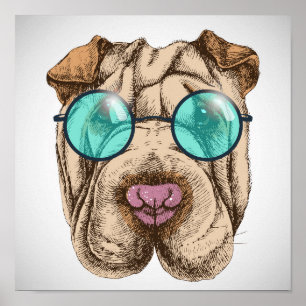 Sharpei in Sonnenbrille Poster