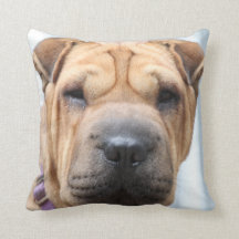 Sharpei Throw Pillow