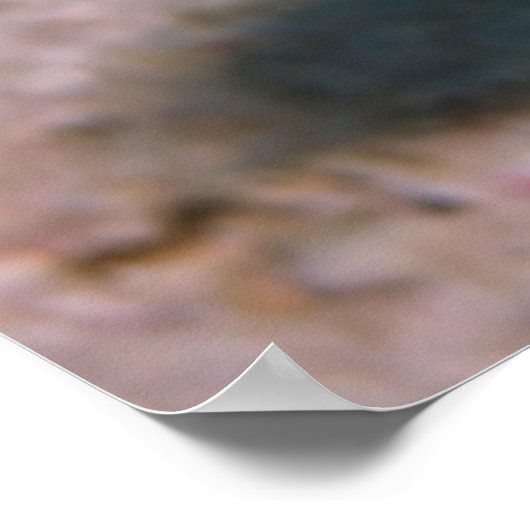 Sharpnose Puffer Poster (Ecke)