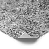 Sharpshooter, 1920er poster (Ecke)