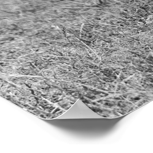 Sharpshooter, 1920er poster (Ecke)