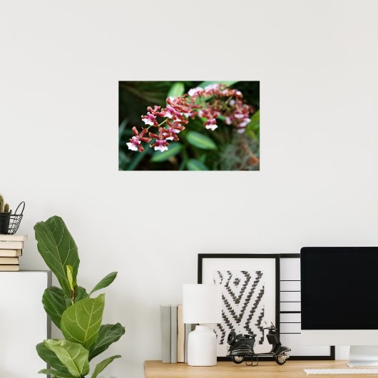 Sharry Baby Oncidium Poster (Heimbüro)