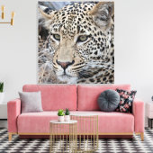 Shasha-Jungleopard Leinwanddruck (Insitu (Wohnzimmer))