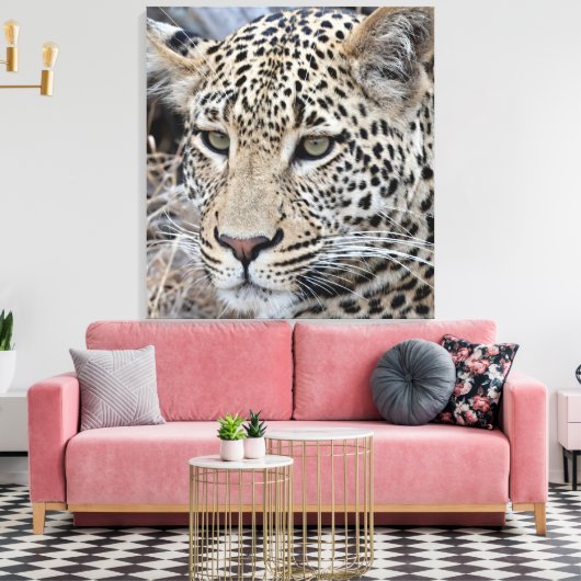 Shasha-Jungleopard Leinwanddruck (Insitu (Wohnzimmer))