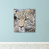 Shasha-Jungleopard Leinwanddruck (Insitu (Holzboden))