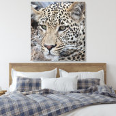 Shasha-Jungleopard Leinwanddruck (Insitu (Schlafzimmer))