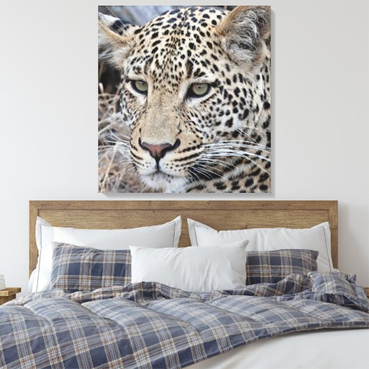 Shasha-Jungleopard Leinwanddruck (Insitu (Schlafzimmer))