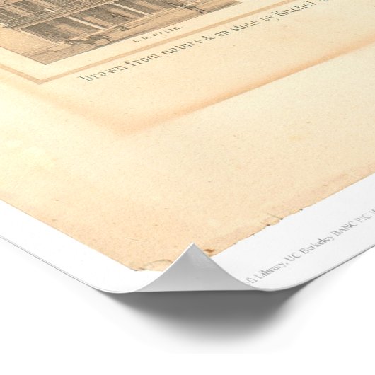 Shasta, CA Panoramakarte 1856 (1612A) Poster (Ecke)